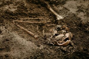 Descubren Restos De Niños Con Síndrome De Down De Hace 3.000 Años En España